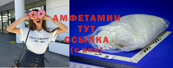 хмурый Алзамай