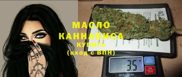 хмурый Алзамай