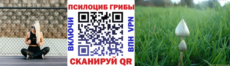 купить закладку  Нурлат  Галлюциногенные грибы прущие грибы 