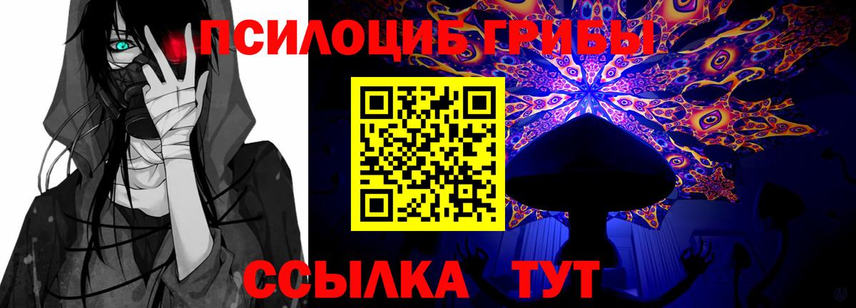 Псилоцибиновые грибы мицелий Нурлат